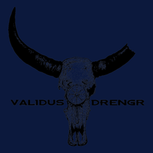 Load image into Gallery viewer, Valor