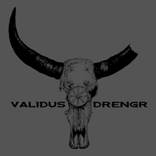 Load image into Gallery viewer, Valor
