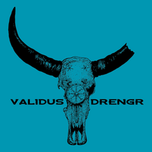 Load image into Gallery viewer, Valor