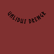 Load image into Gallery viewer, Validus Drengr back neck band