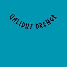 Load image into Gallery viewer, Validus Drengr back neck band
