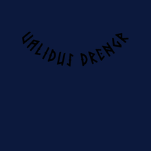 Load image into Gallery viewer, Validus Drengr back neck band
