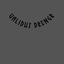 Load image into Gallery viewer, Validus Drengr back neck band
