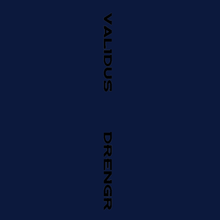 Load image into Gallery viewer, Validus Drengr spine
